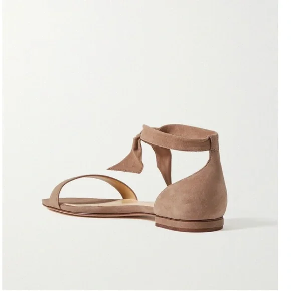Alexandre Birman Clarita Suede Ankle Tie Sandals, Tan - Picture 5 of 9